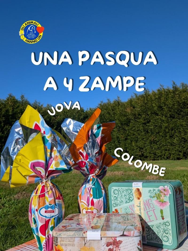 UOVA E COLOMBE SOLIDALI per una pasqua a 4 zampe