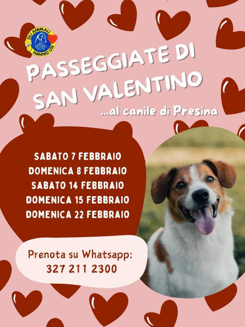 💓 PASSEGGIATE DI SAN VALENTINO 2026💓