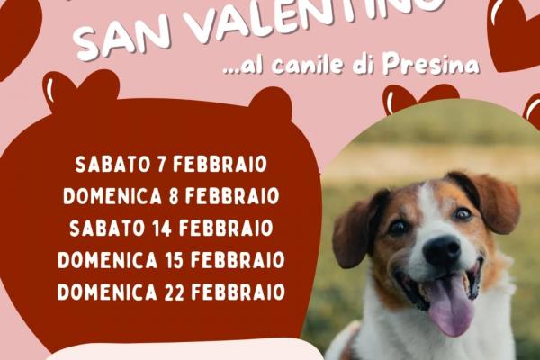 💓 PASSEGGIATE DI SAN VALENTINO 2026💓